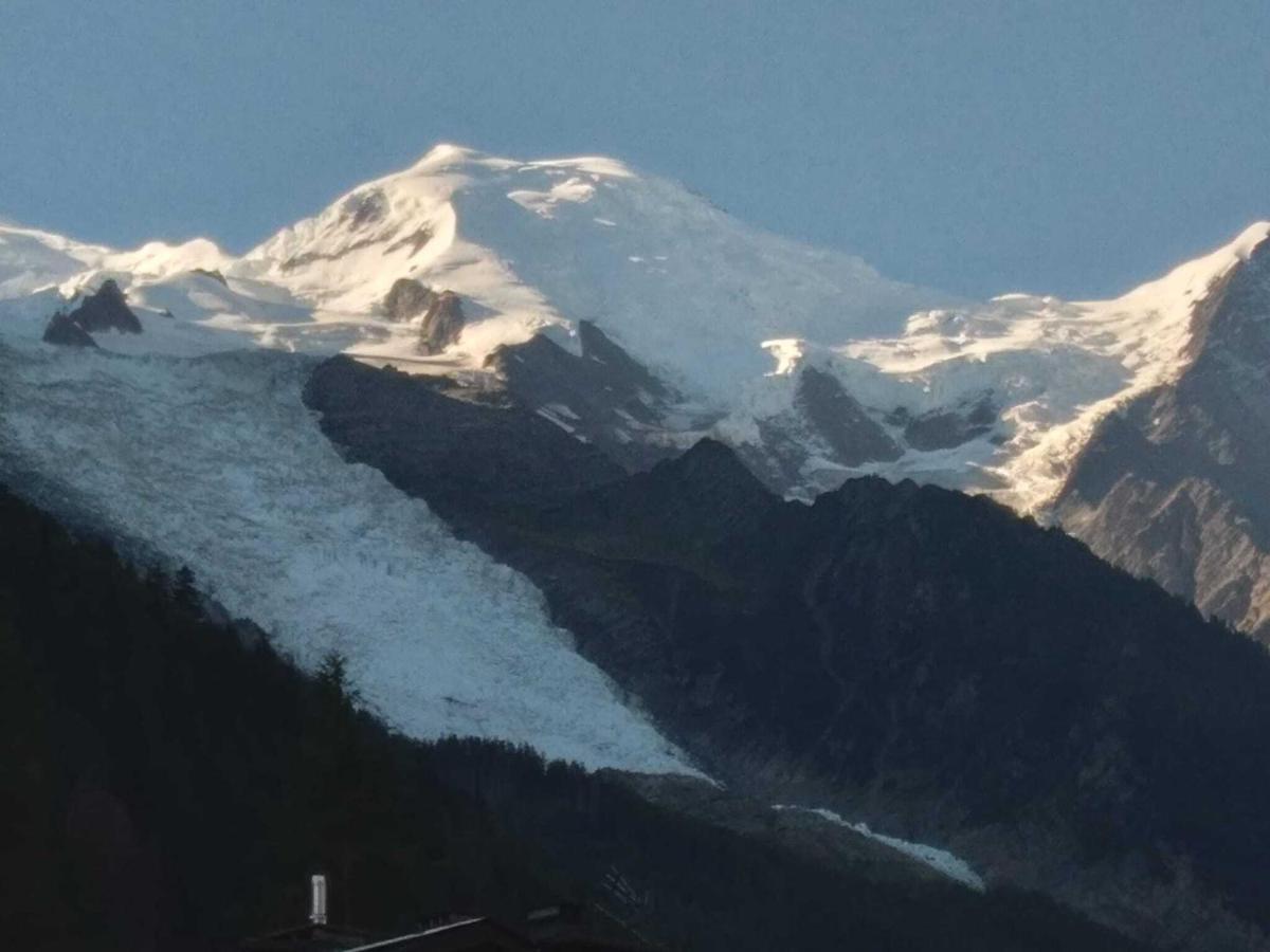 Cocon Douillet Au Pied De L'Aiguille Du Midi Apartment Шамони Екстериор снимка